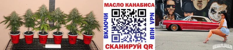 ТГК гашишное масло  сколько стоит  Цимлянск 